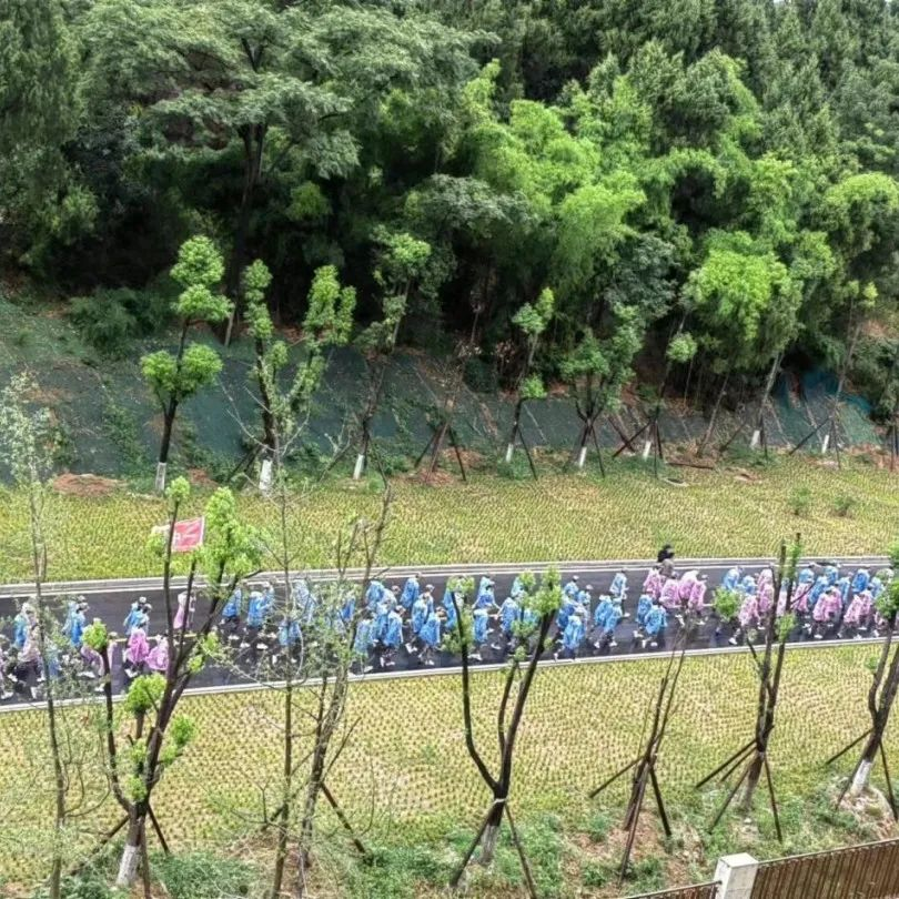 lqojqgf47n.png 圖片20